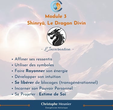 programme formation San Ryu module 3