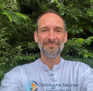 christophe meunier energeticien à nantes