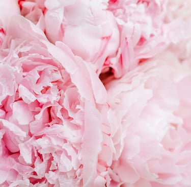 luxury web design for wedding professionals