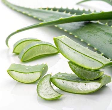 integratore a base di aloe vera