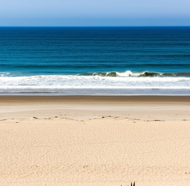 North San Diego Mold Inspection and Testing