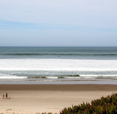 Coastal Humidity & Mold Prevention