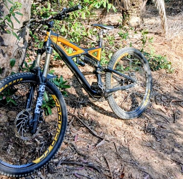 mountain bike 2013 specialized enduro leaning against a tree with a dropper seat post
