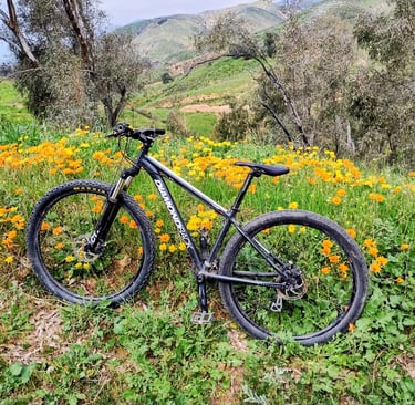 hardtail mountain bike with flowers in the foothills in background