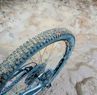 best mtb tires for wet condition. mtb tire sitting in mudd