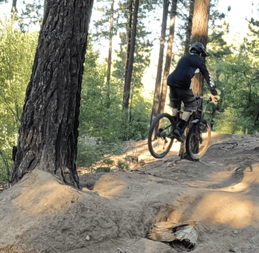 mountain biker coming in for a landing off a small jump