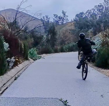Mountain bike rider practicing manual and wheelie techniques for skill building