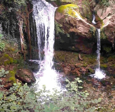 Cascade, symbole de renouveau et reconnexion à soi