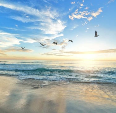 Plage et coucher de soleil, 5 oiseaux s’envolent, sensation de paix et tranquillité