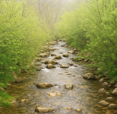 Rivière au printemps à Bugarach, paysage naturel et ressourçant