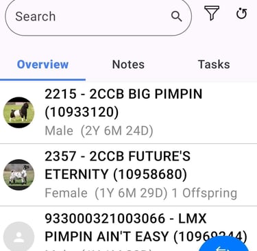 a phone screen showing a list of items that are on the phone