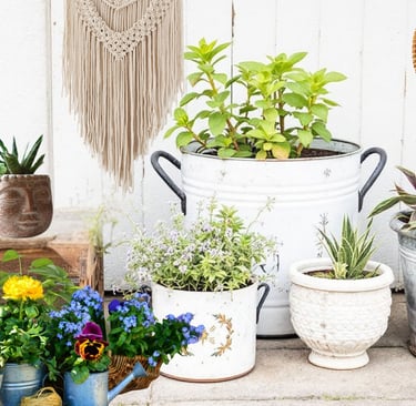 a bunch of potted plants in pots on a porch with boho decor