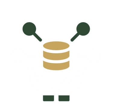 Data architecture, analysis and engineering