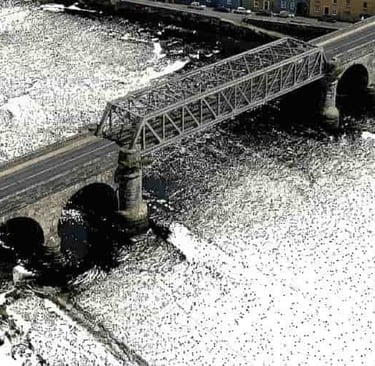 Restituzione topografica e cartografica elaborata in ambiente GIS