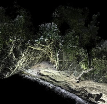 Nuvola di punti acquisita da un rilievo 3D laser scanner di una falesia, evidenziando dettagli della superficie rocciosa