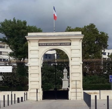 Alfort école vétérinaire