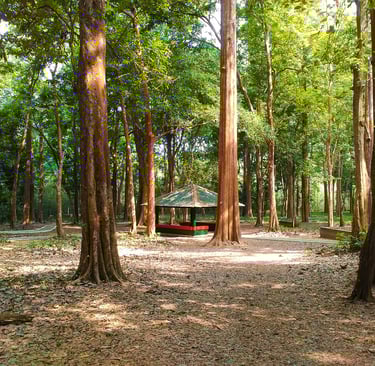 eco-friendly teak furnishings