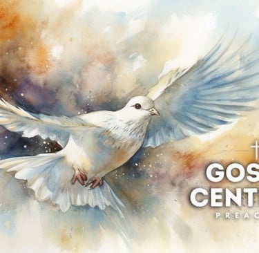 a white dove with a cross on the ground