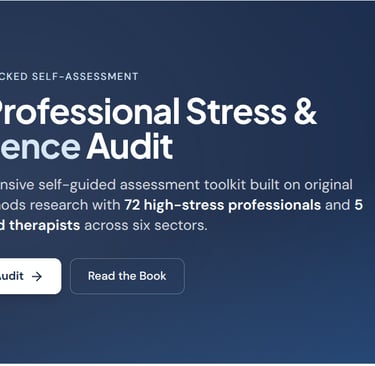 stress audit toolkit banner