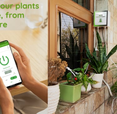 Smart Watering System for Plants