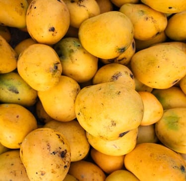Mangos frescos - Ingredientes para Cubitos Ice Cream