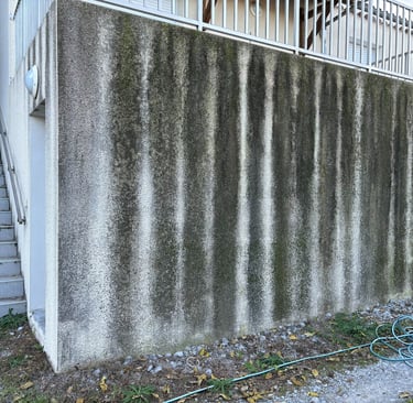 façade qui a besoin d'un nettoyage