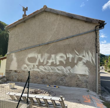 façade avant nettoyage