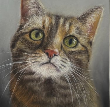 Soft pastel of a Tabby cat looking up for a treat
