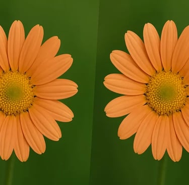 arxeia gia sosti psifiaki ektiposi