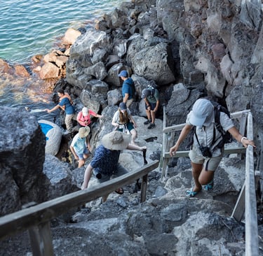 Family experiencing wildlife together in the Galapagos Islands
