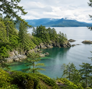trees and water on vancouver island with mountains in the background