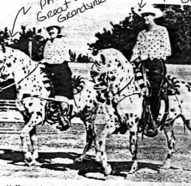 Arab Toswirah Alkar & Siri Sheik