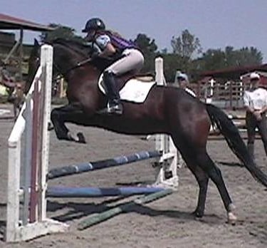 JAS Firefly
