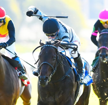 Acento Final. Foto Juan Ignacio Bozzello