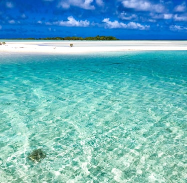 Floating Pools and Docks