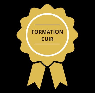 nettoyeur auto colomiers