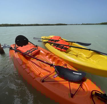 Renta de Kayak Isla Pelicanos Chuburna