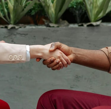 How to Choose the Right Board Member in Bangor Maine