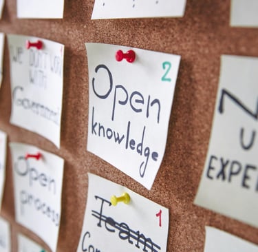 Navigating the AI Hype Cycle