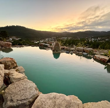 Limestone natural pool, custom wood railing, stone steps & large diving stone | Lisbon | Aqua Vitae
