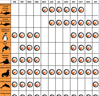 Calendario de fauna Puerto Madryn y Península Valdés Alpataco Travel