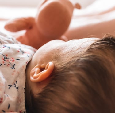Photo nouveau-né et peluche, séance bébé 77 par Carine Lebrun Photo