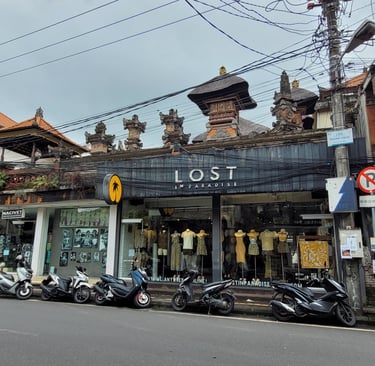 Lost in pradise
