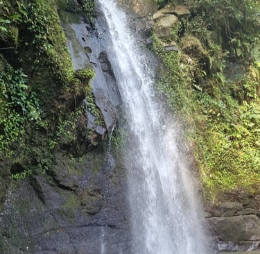 Wasserfall bei Ubud