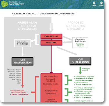 Robert Verkerk PhD - Alliance for Natural Health International