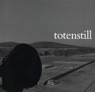 Cover des Buches totenstill von Dirk Reinartz