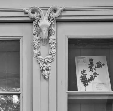 Tieranatomisches Theater Berlin