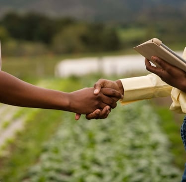 formations engrais naturelles pour tous agriculteurs africains