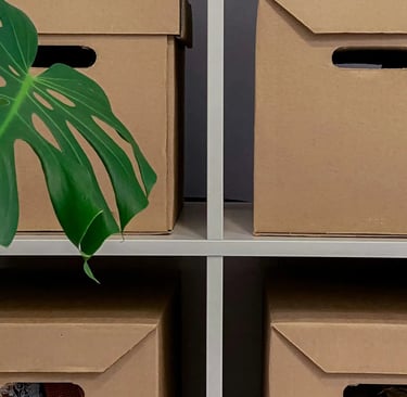 Close-up of four boxes with tropical plant symbolizing box breathing practice, everyday essentials