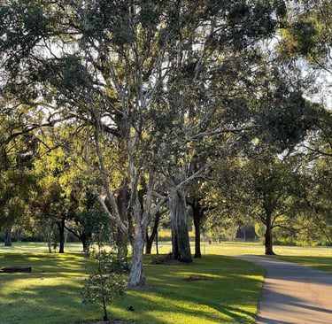 a park bench in the grass under a large tree in a park